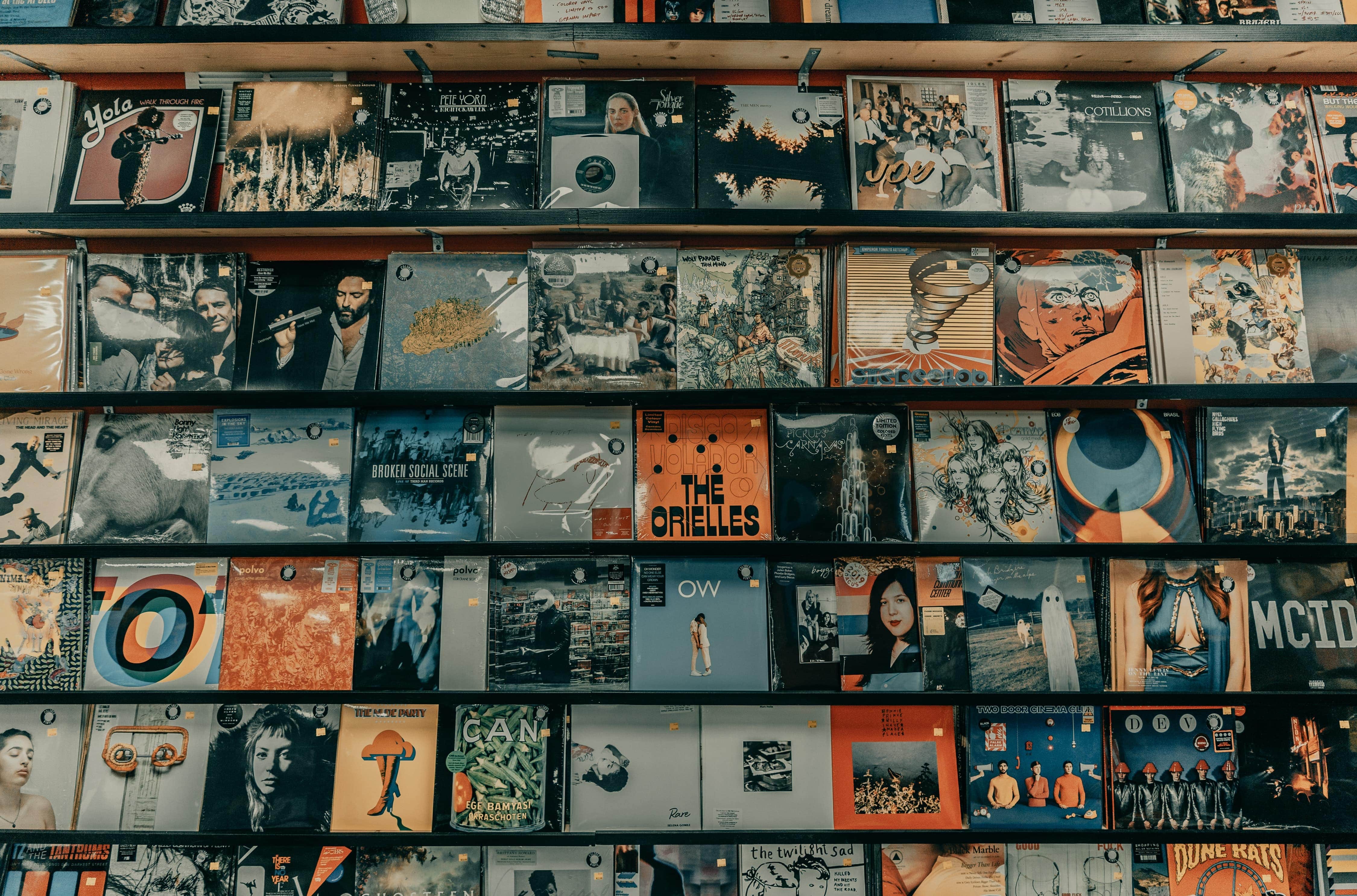 Curated Vintage Vinyl and Shirts